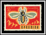 Bee over Mountains