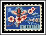 Bee Pollinating Flower