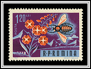 Bee Pollinating Flower