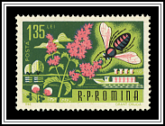 Bee Pollinating Flower