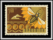 Bee Pollinating Flower