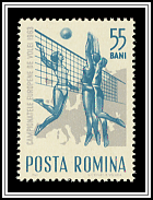Women's Volleyball