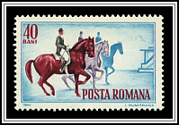 Dressage
