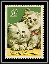 Persian Cats
