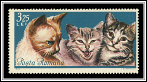 Various Cats