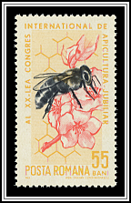 Bee & Flowers