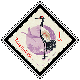 Eurasian Crane