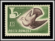 Pigeon & Post Horn