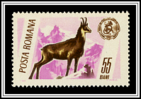 Chamois & Emblem