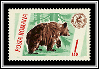 Brown Bear & Emblem
