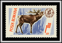 Red Deer & Emblem