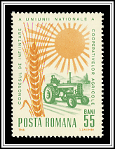 Farmer, Sun & Grain