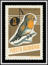 Muscicapa Parva