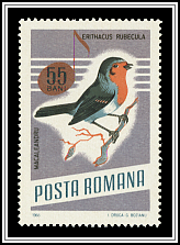 Erithacus Rubecula