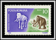 Mammuthus Trogontherii