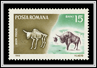 Bison Priscus