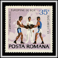 Boxing Scene