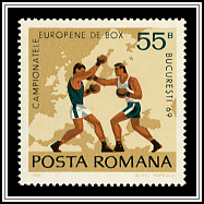 Boxing Scene