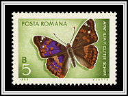 Apatura Ilia