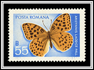 Argynnis Laodice