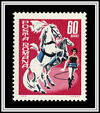 Dressage