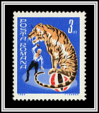 Tiger & Trainer