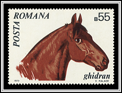 Gidran