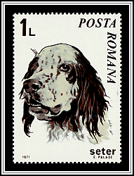 Setter