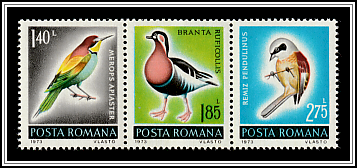 Protected Fauna