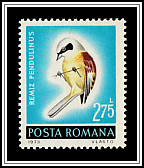 Eurasian Penduline Tit (Remiz pendulinus)