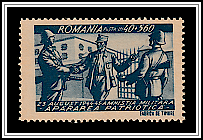 Military Amnesty