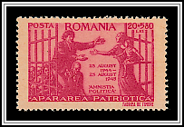 Political Amnesty