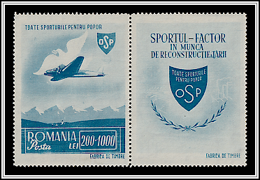 Plane & Bird Carrying Letter (with label)