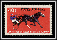 Horse Racing