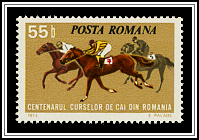 Horse Racing