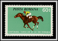 Horse Racing