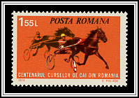 Horse Racing