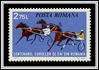 Horse Racing