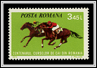 Horse Racing