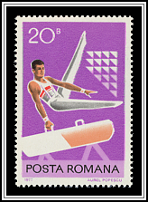 Pommel Horse