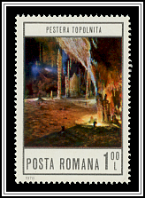 Topolnita