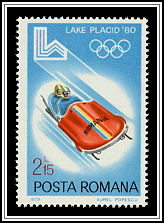 Two-Man Bobsled
