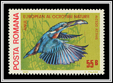 Kingfisher