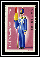 Flag Bearer, 19th Century
