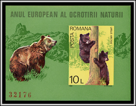 Bears