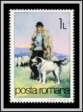 Shepherd with Dog