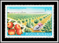 Pest Control in Apple Cultivation