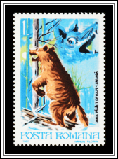 The Bear Fooled by the Fox