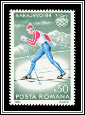 Cross Country Skiing