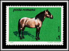 Huțul